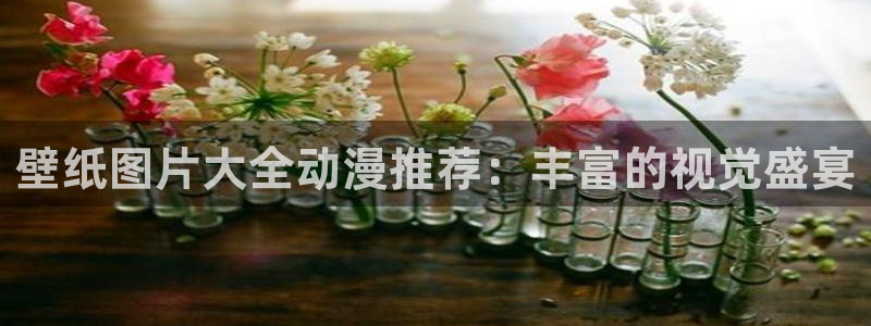 喵趣漫画手机版:壁纸图片大全动漫推荐:丰富的视觉盛宴配图
