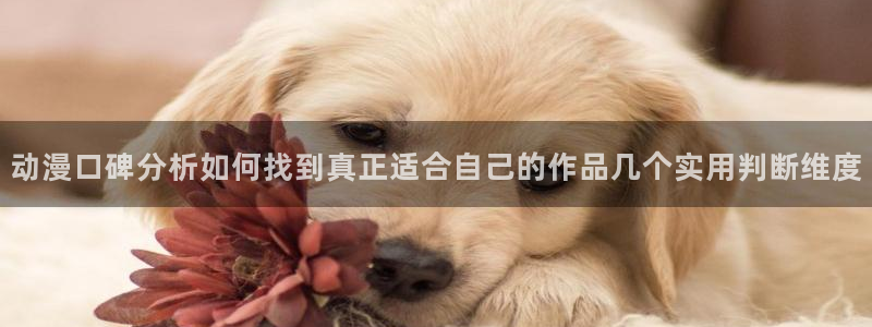 2026喵趣漫画高分推荐:动漫口碑分析如何找到真正适合自己的作品几个实用判断维度配图