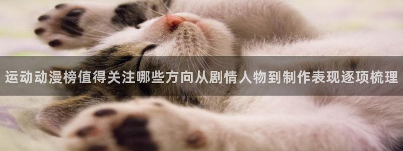 喵趣漫画分类排行:运动动漫榜值得关注哪些方向从剧情人物到制作表现逐项梳理配图