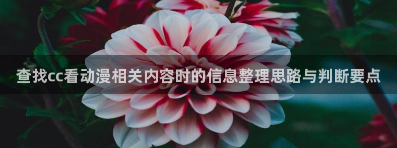 喵趣漫画推荐:查找cc看动漫相关内容时的信息整理思路与判断要点配图