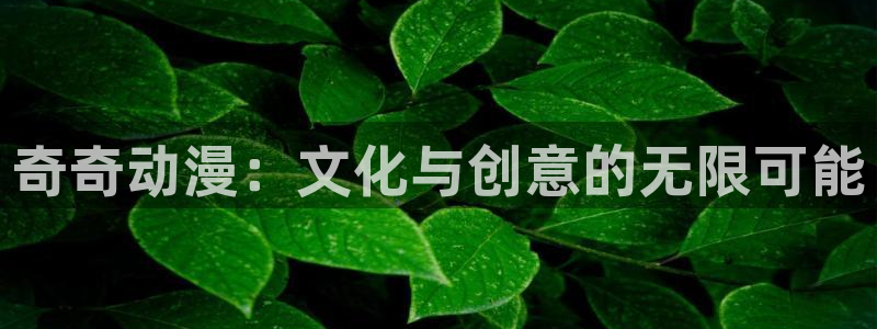 喵趣漫画大全在线:奇奇动漫:文化与创意的无限可能配图
